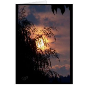 Llorar con la tarjeta Sunrise