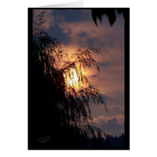 Llorar con la tarjeta Sunrise