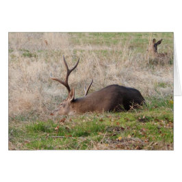 Llorar/ Despertarme por el pastel