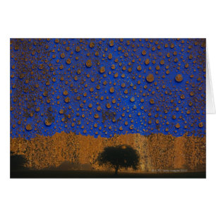 Lluvia ácida y contaminación ambiental