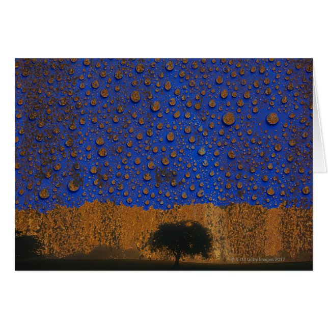 Lluvia ácida y contaminación ambiental (Anverso (Horizontal))