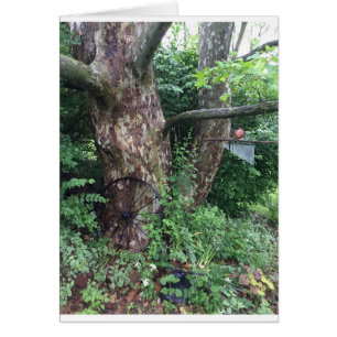 Lluvia de verano suave