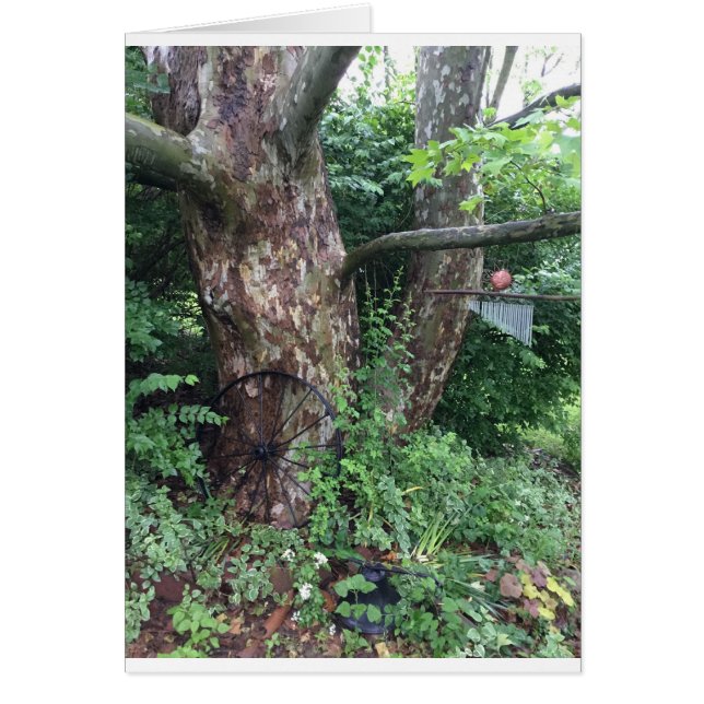 Lluvia de verano suave (Frente)