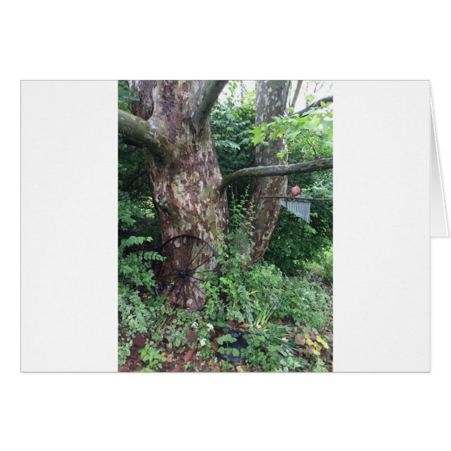 Lluvia de verano suave (Anverso (Horizontal))