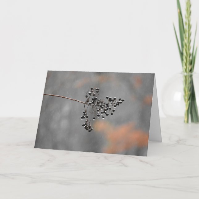 Lluvia del invierno, tarjeta (Anverso)