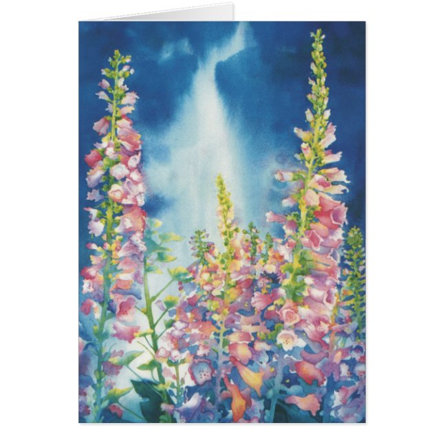 Lluvia del verano (Frente)