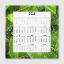 Lluvia En El Calendario Magnético Spiderweb 2023