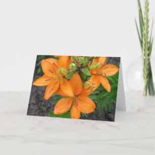 Lluvia en la tarjeta de notas Lillies Blank