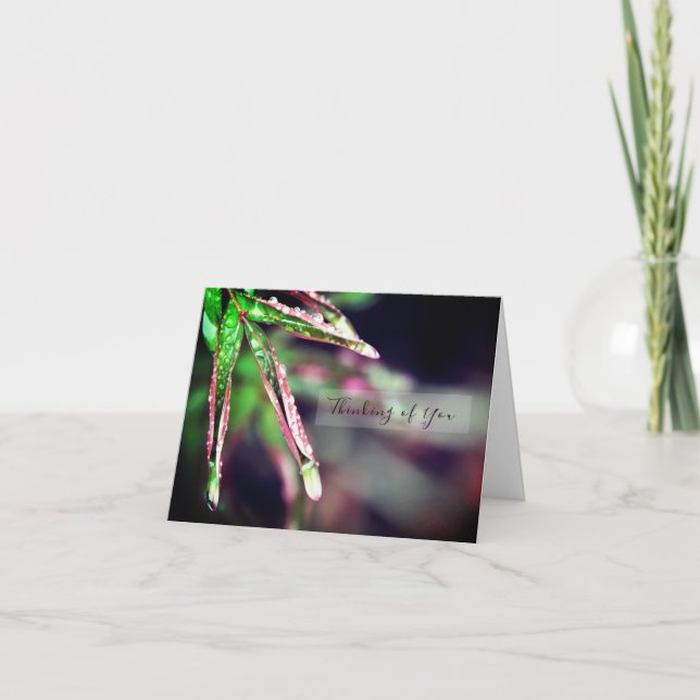 Lluvia en las hojas pensando en tu tarjeta (Anverso)