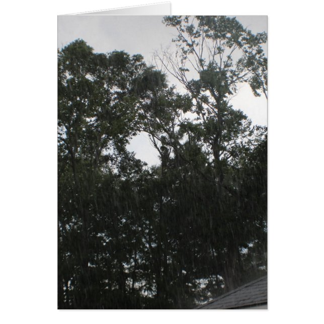 Lluvia Lluvia Lejos (Frente)