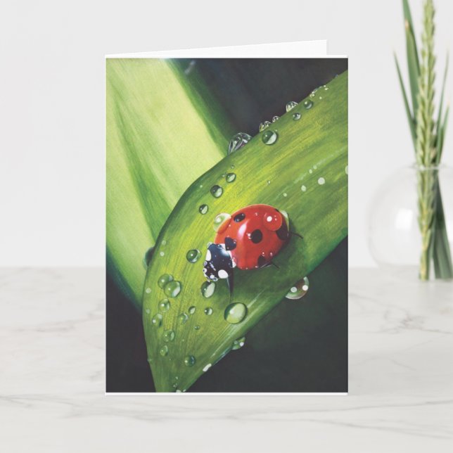 Lluvia sobre la tarjeta segada de la hierba (Anverso)