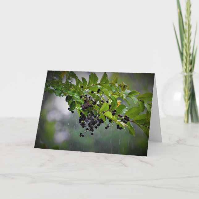 Lluvia, tarjeta (Anverso)