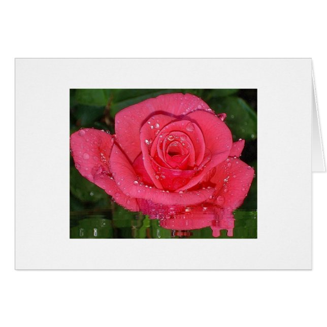 Lluvias (Anverso (Horizontal))