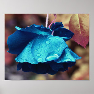Lluvias agudas de Rosa azul Resumen Arte de flores