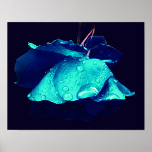 Lluvias agudas de Rosa azul Resumen Arte de flores