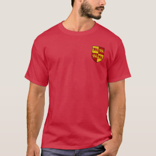 Llywelyn la gran camisa del escudo de armas
