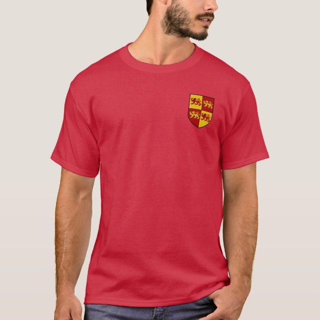 Llywelyn la gran camisa del escudo de armas (Anverso)