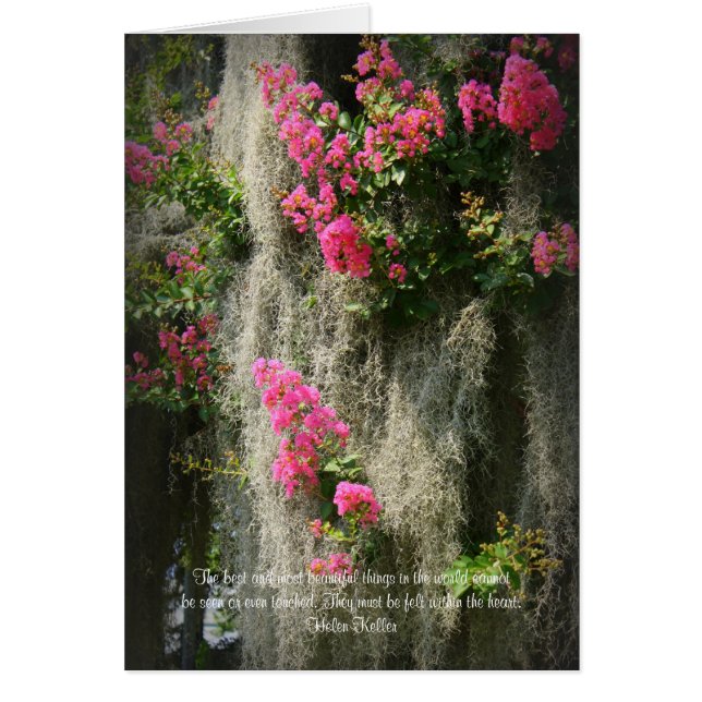 Lo mejor y lo más hermoso... (Frente)