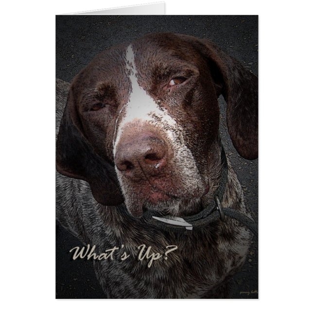 Lo que pasa (Frente)