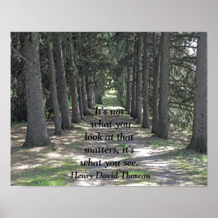 Lo que ves — Imagen de arte - Henry David Thoreau