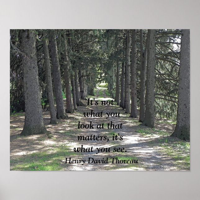Lo que ves — Imagen de arte - Henry David Thoreau (Frente)
