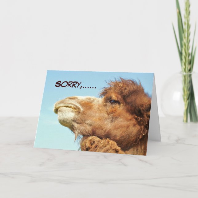 Lo siento, tarjeta (Anverso)