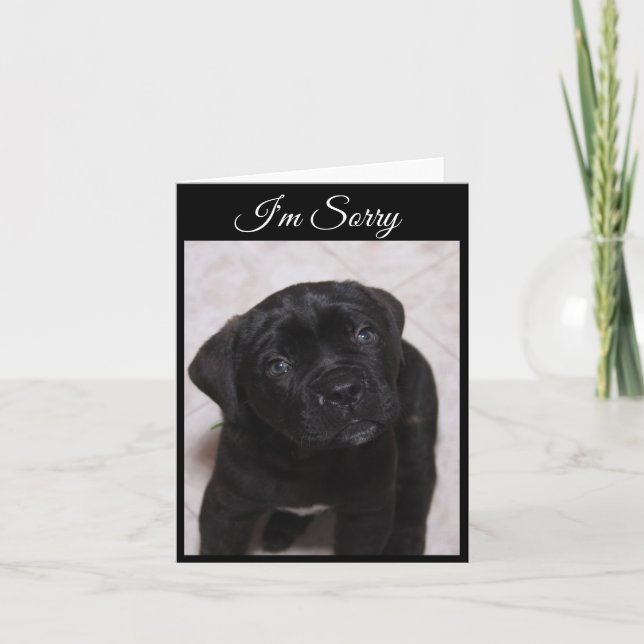 Lo siento, tarjeta - Mastiff Puppy (Anverso)