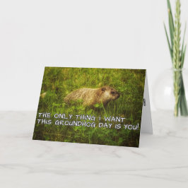 Lo único que quiero es esta tarjeta de Groundhog D