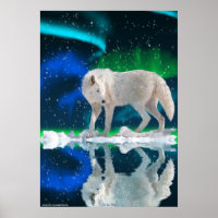 Lobo Ártico, Poster de Arte de Vida Silvestre de A