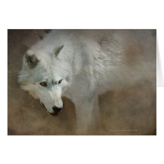 Lobo blanco (Anverso (Horizontal))