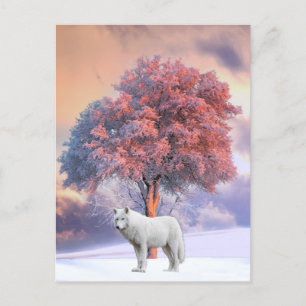 Lobo blanco en invierno   Tarjeta postal