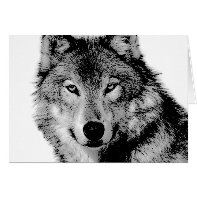 Lobo blanco y negro (Anverso (Horizontal))