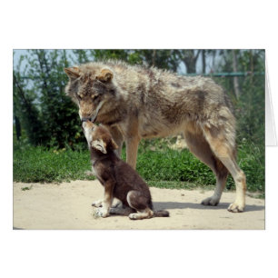lobo con el perrito
