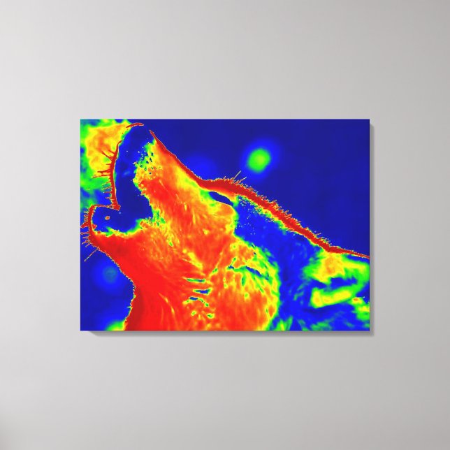 Lobo de arte pop envuelto (Anverso)