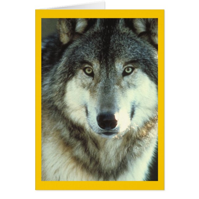Lobo de la madera de Junglewalk.com (Frente)