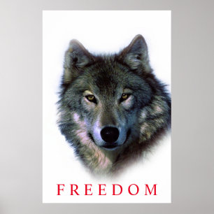 Lobo de puerta de póster de libertad motivacional 