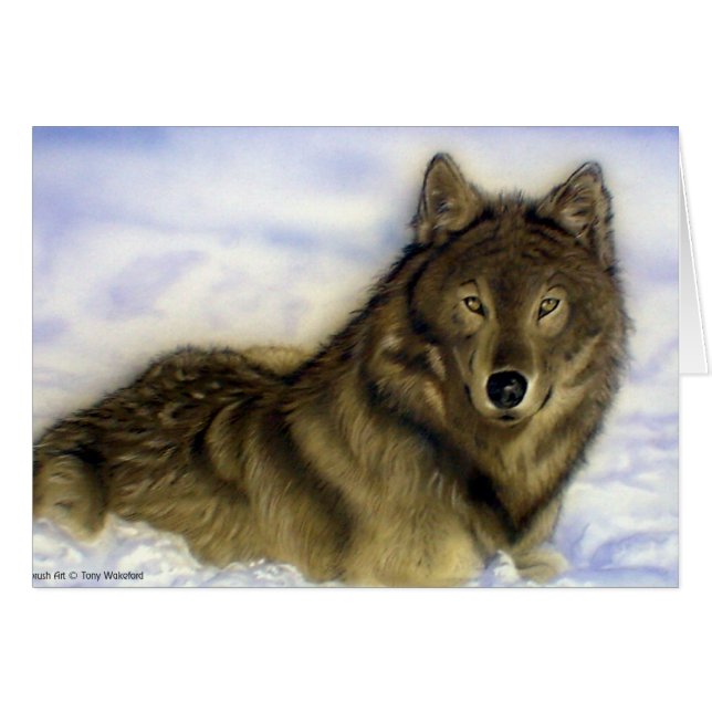 Lobo del invierno (Anverso (Horizontal))