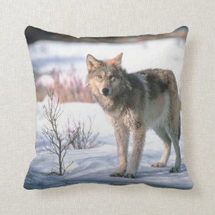 Lobo en Cojín decorativo de la nieve