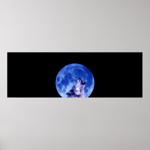 Lobo gris en impresión Poster de puerta nocturna