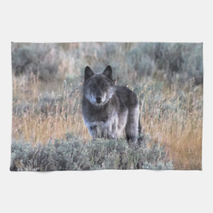 Lobo gris en toalla de plato de cocina amarilla