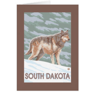 Lobo gris StandingSouth Dakota