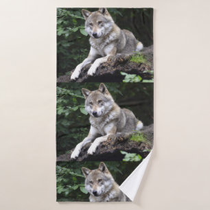 Lobo Howl Vida salvaje Árboles animales destruyen