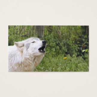 Lobo maderero 3