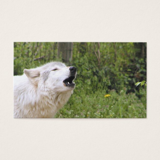 Lobo maderero 3 (Frente)