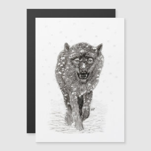 Lobo negro enojado en la nieve, invierno salvaje