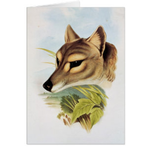 Lobo o tigre tasmano