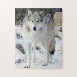 Lobo Puzzle 11" x 14" 252 piezas con caja de regal