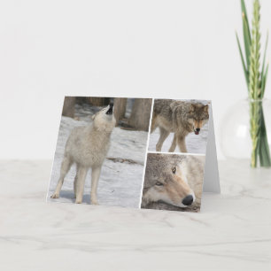 Lobo - Tarjeta de felicitación - Blank Personalíza