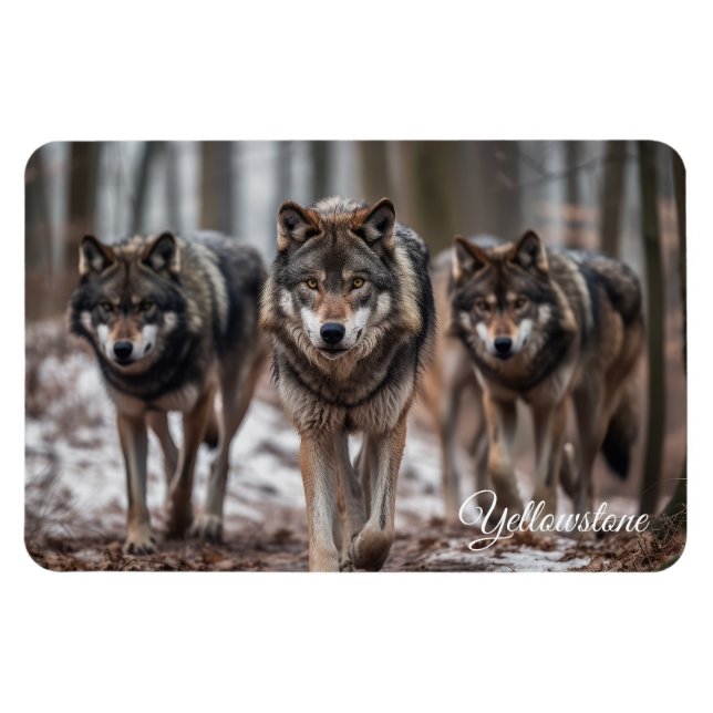 Lobos de imanes de piedra amarilla (Horizontal)