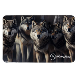 Lobos de imanes de piedra amarilla